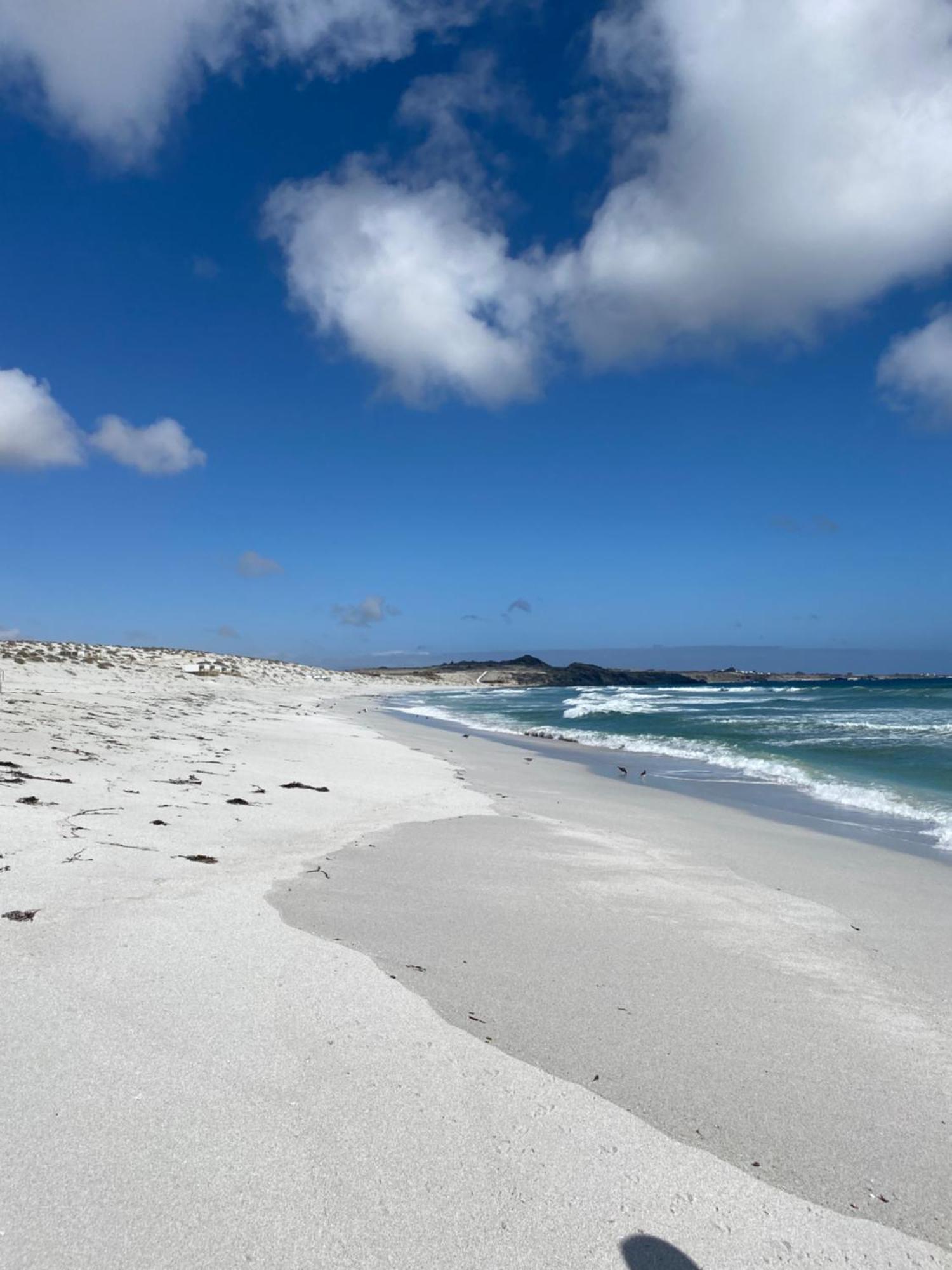 Punta De Choros Lodge Eksteriør billede